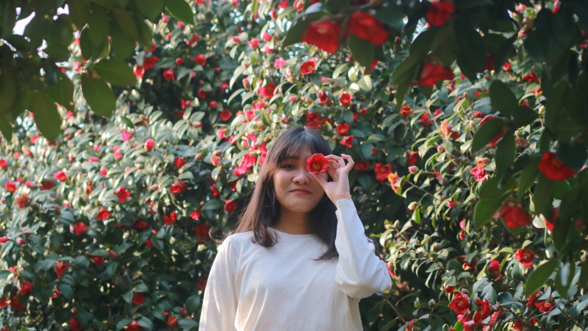 sihui's adventure